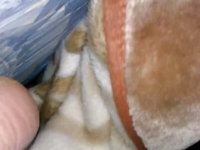 Sweet pussy fuck and cum